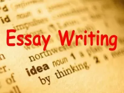 I will write 500 words for psychology, sociology, history, and research essays